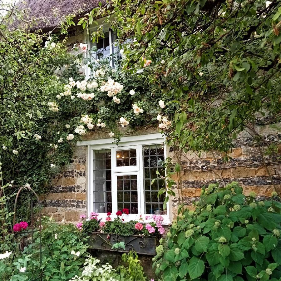 Tudor Cottage B&B Frampton Dorchester Exterior foto