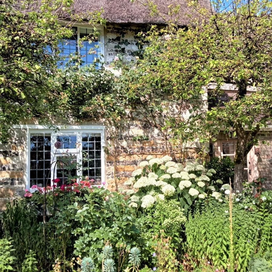 Tudor Cottage B&B Frampton Dorchester Exterior foto