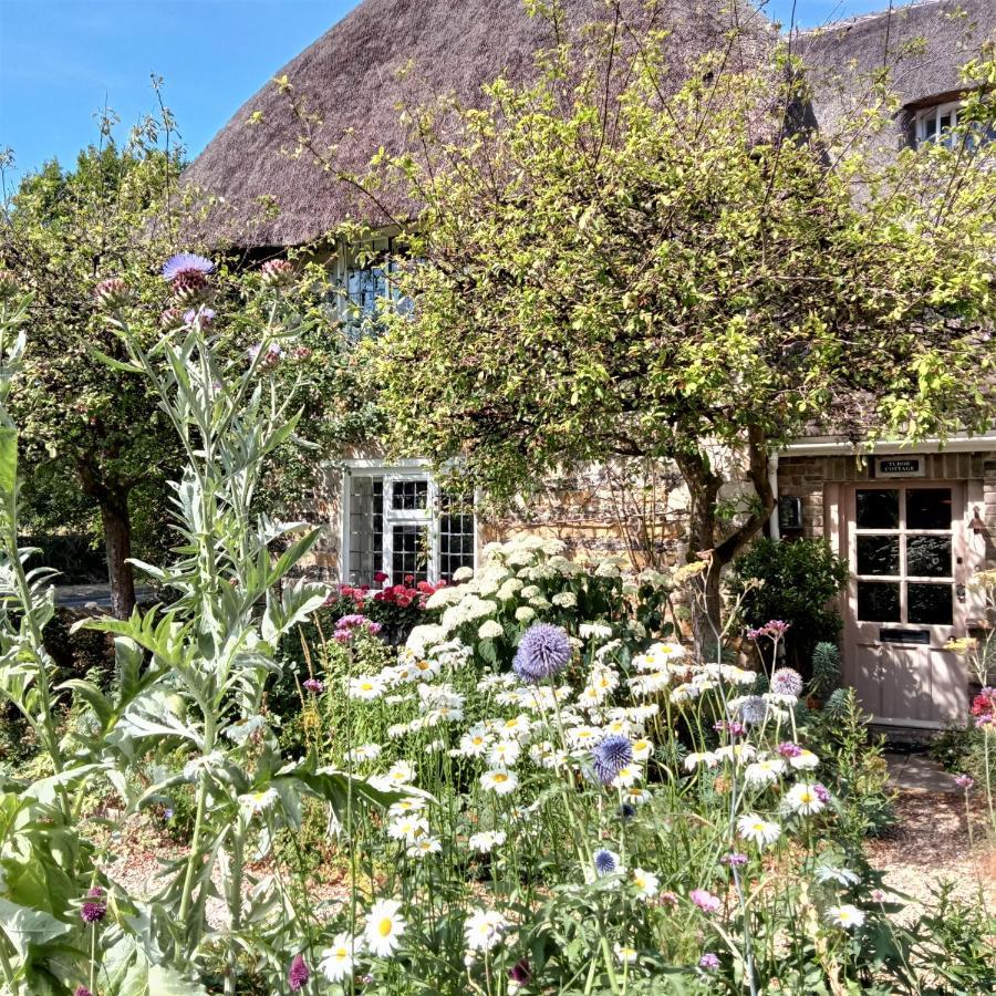 Tudor Cottage B&B Frampton Dorchester Exterior foto